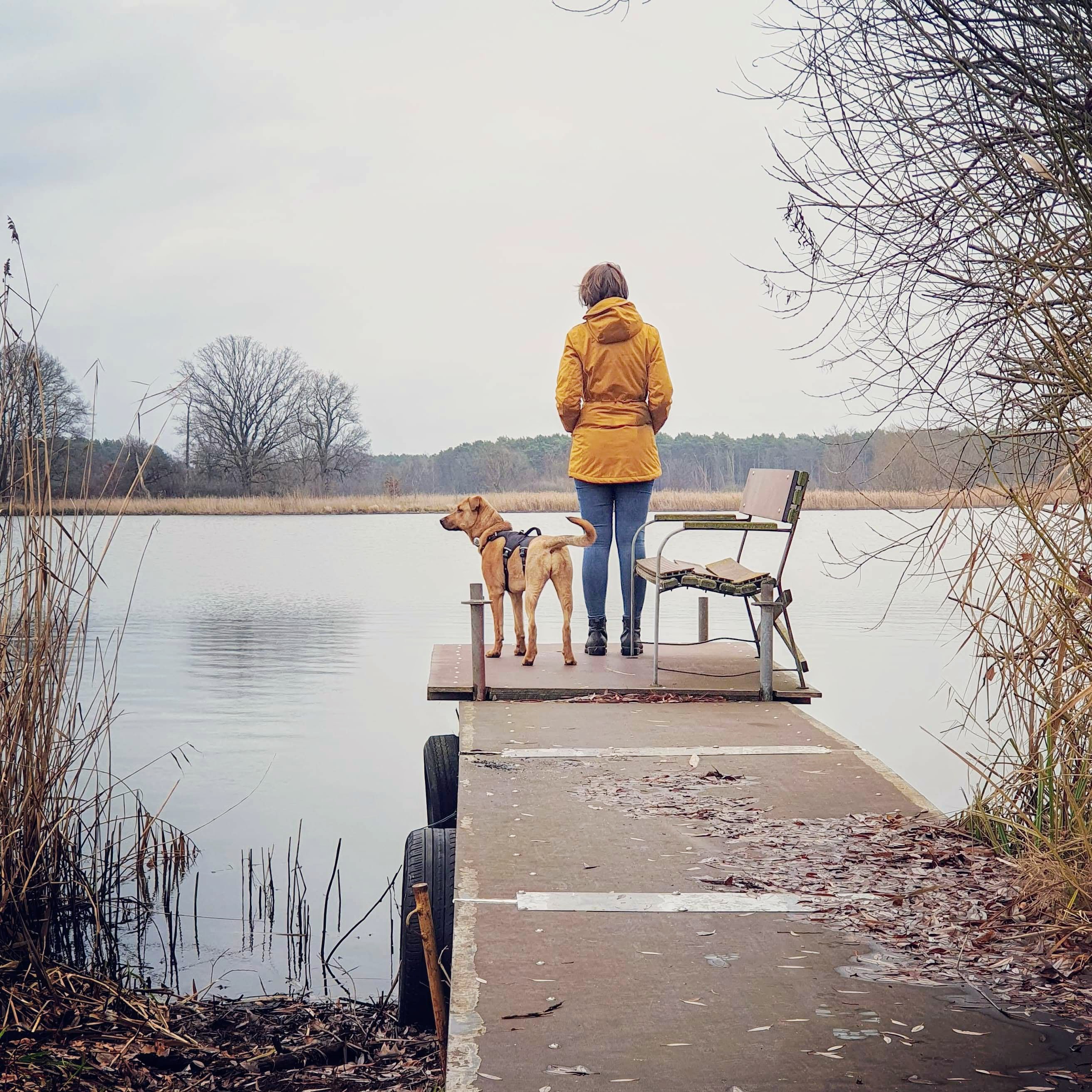 Warum mein Hund mir wichtiger ist als ein Partner